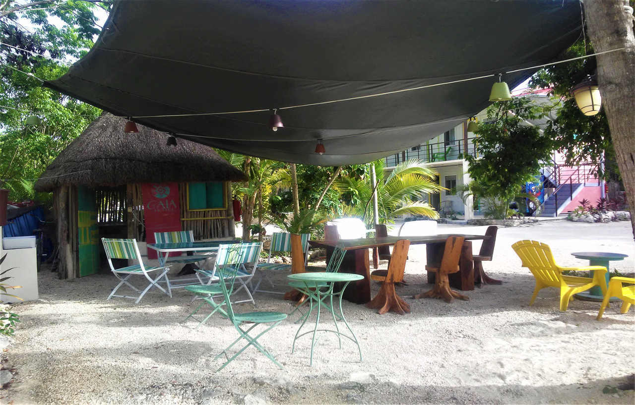 图卢姆 Barronegro (Adults Only)酒店 外观 照片